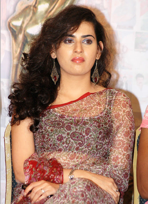Archana Veda In Saree Cute Pictures Actress