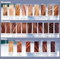 Redken Hair Color Chart