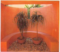 1993, Punta Ixtapa