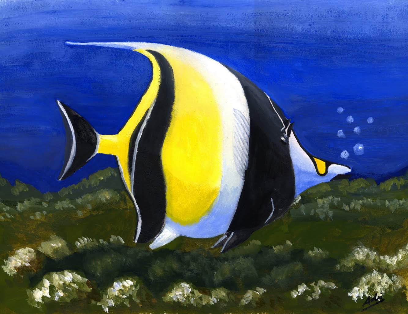 Top 10 Peces mas hermosos del mundo - Taringa!