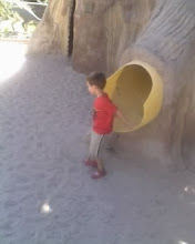 spencer at the dino park on the dino playground!!!!