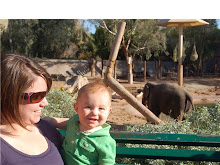 my sister-in-law lindsay and her son tyler at the zoo!!!