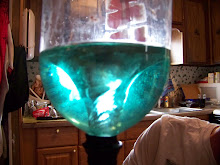 science experiment that we did with the kids,