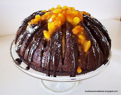 cake choco chocolate abricot apricot volcano