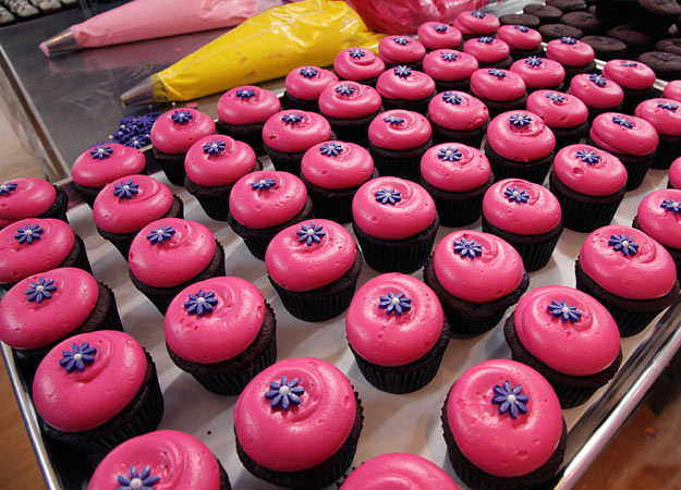 Cupcake Places Open Today Gigi Cup Cakes Cupcake Places Open Today Gigi Cup Cakes