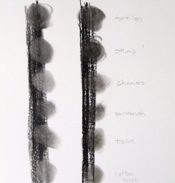 Heather Ward Wildlife Art Charcoal and Pastel A Brief Comparison