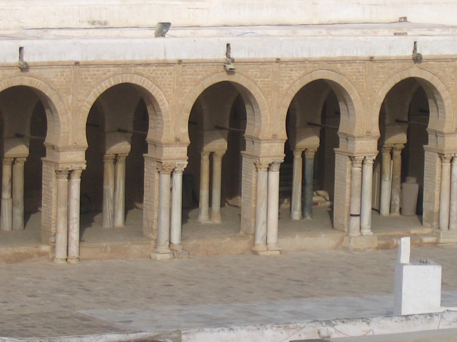 [IMG_0165.JPG]