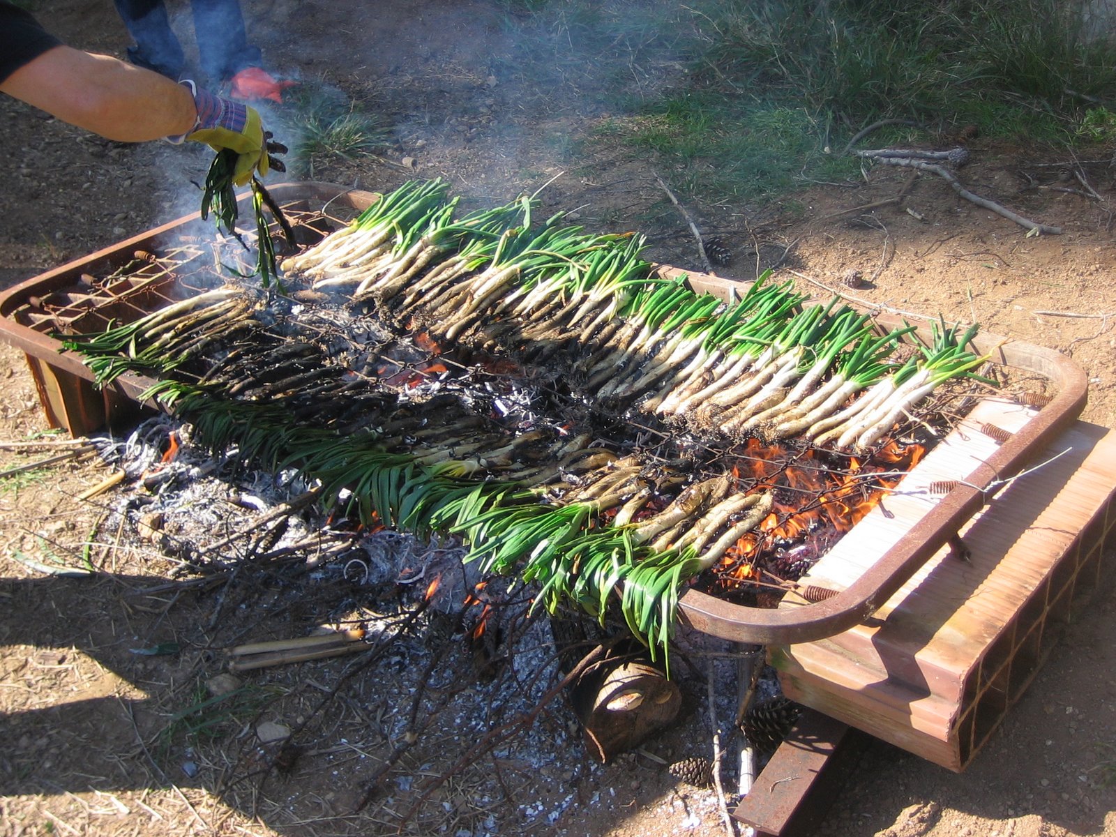 [CALÃ‡OTADA+]