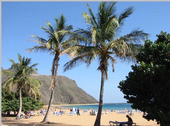 [259PLAYA_LAS_TERESITAS.JPG]