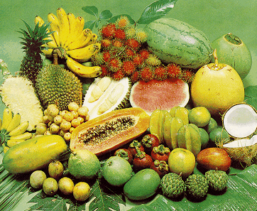Gambar+buah+oren