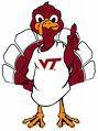 Hokie Baby