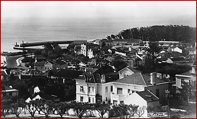 [Image16+a.jpg]