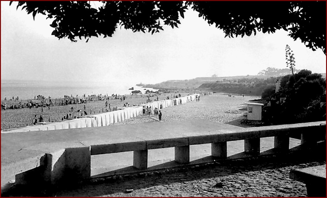 [Image76+a.jpg]
