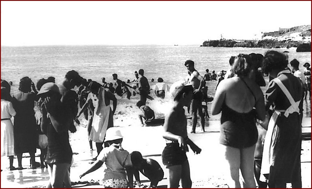 [Image96+A.jpg]