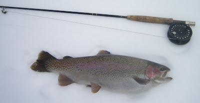Steamboat Springs Winter fly-fishing