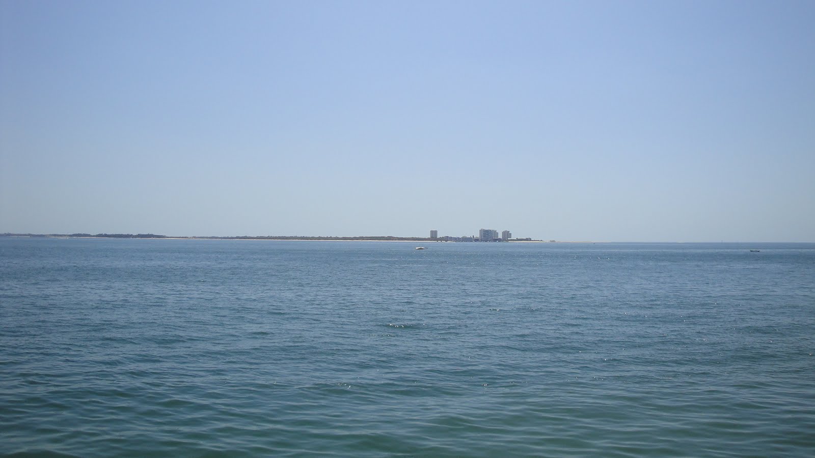 [DSC00629.JPG]