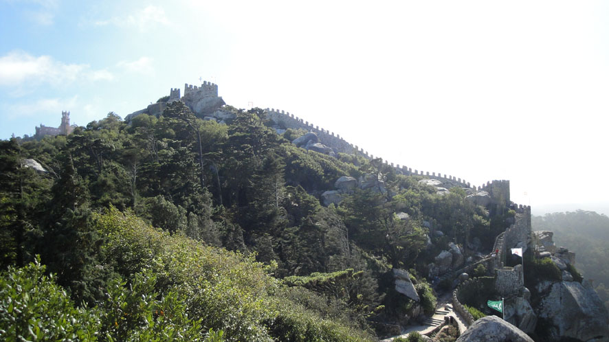 [DSC01307.JPG]