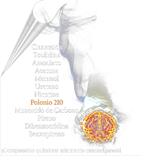 componentes del cigarrillo. Disfrutando un cigarrillo o