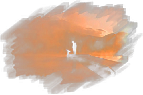 Si me ves cansado...