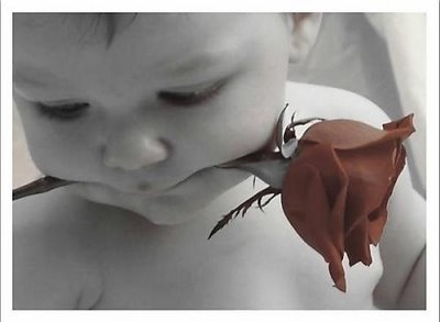 [bebe%20com%20rosa.JPG]