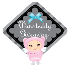 Wansteddy Giveaway