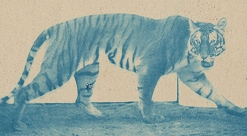 [muybridge.jpg]