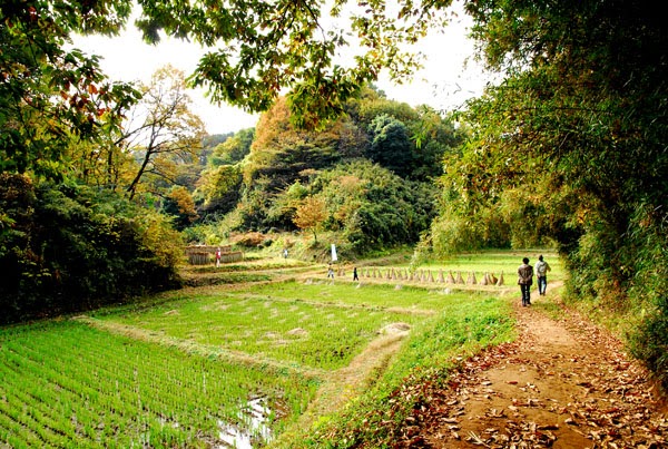 日曜日にリンス..bis. 寺家ふるさと村のこと