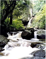 Cachoeira Furna da Onça...