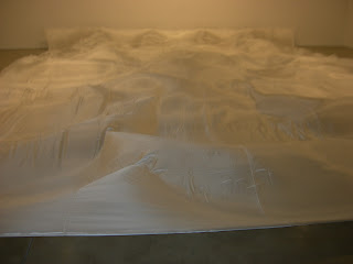 The power of Reserve: Al Taylor and Hans Haacke 5 Haacke