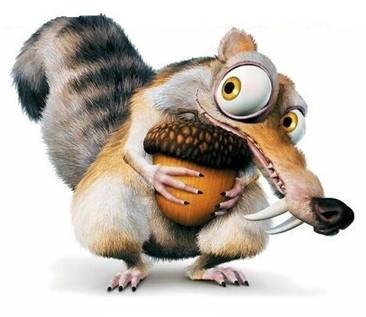 Squirrel Going Nuts