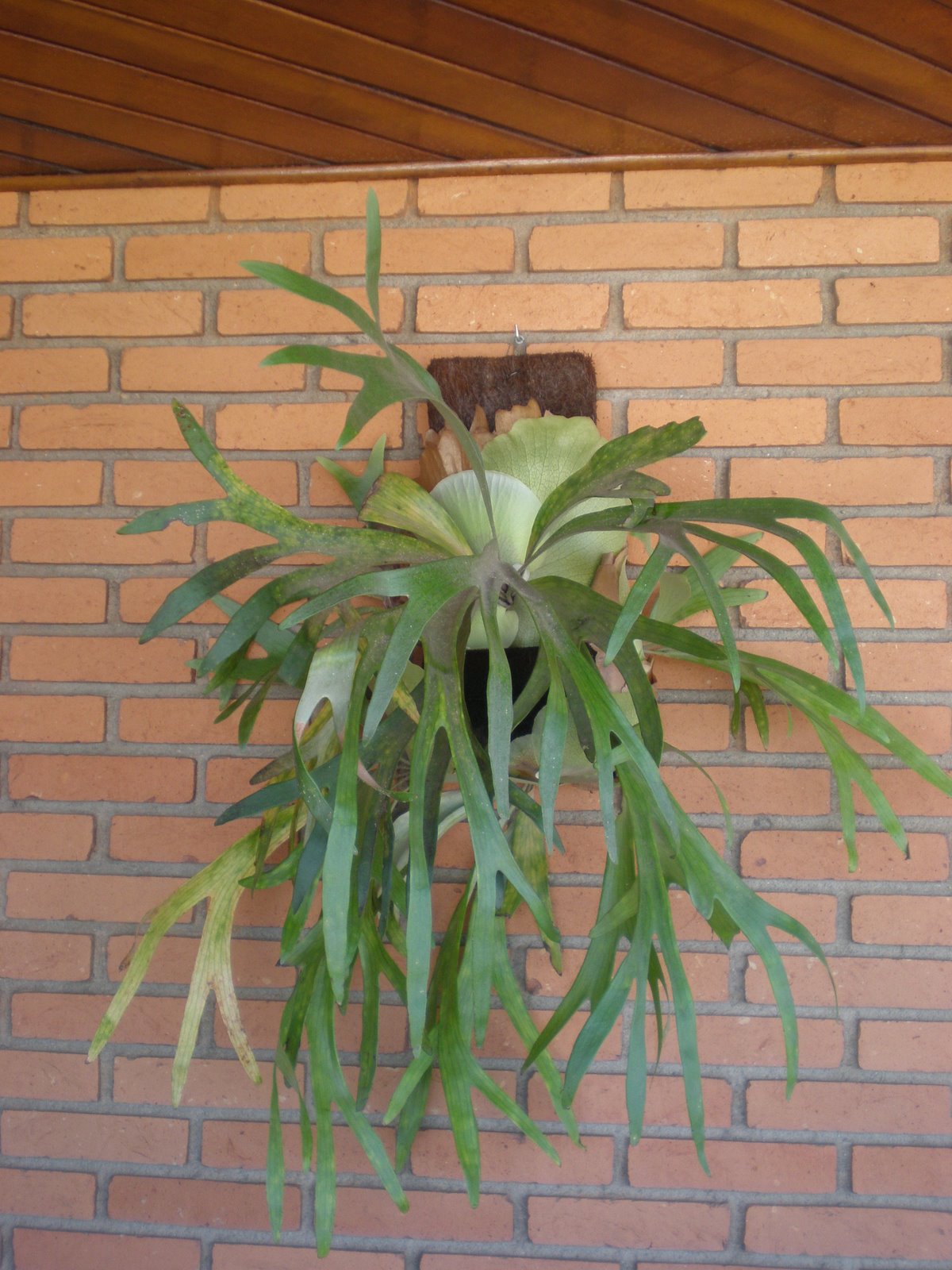 [P4220057.JPG]