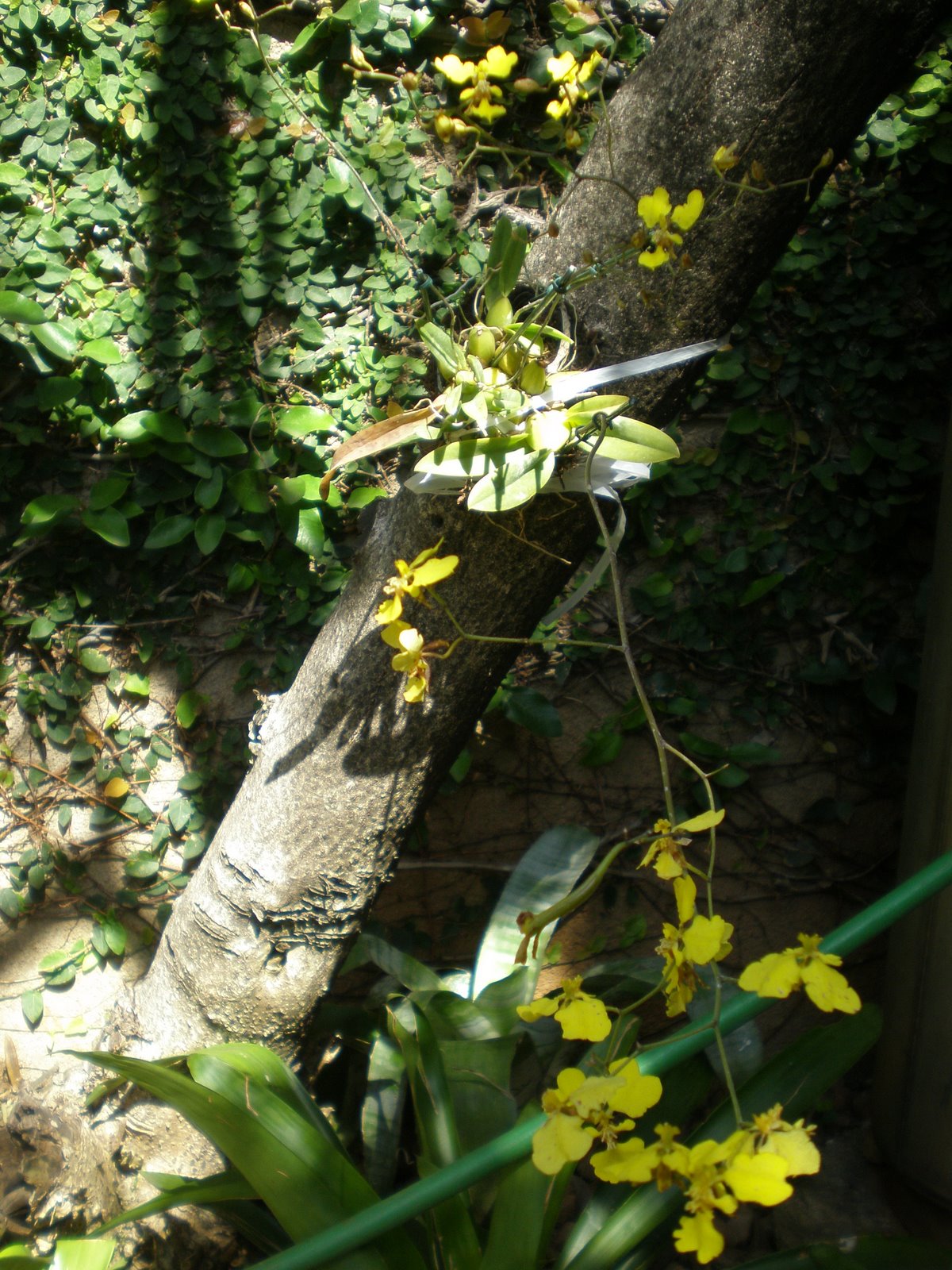 [P8160358.JPG]