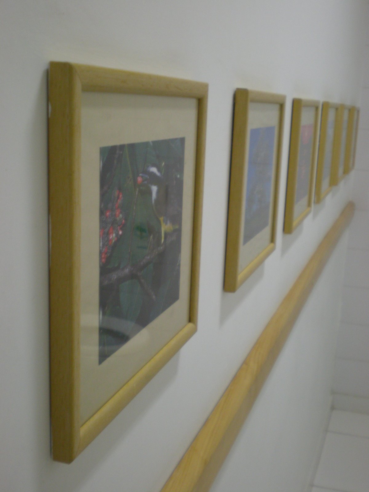 [P4132061.JPG]