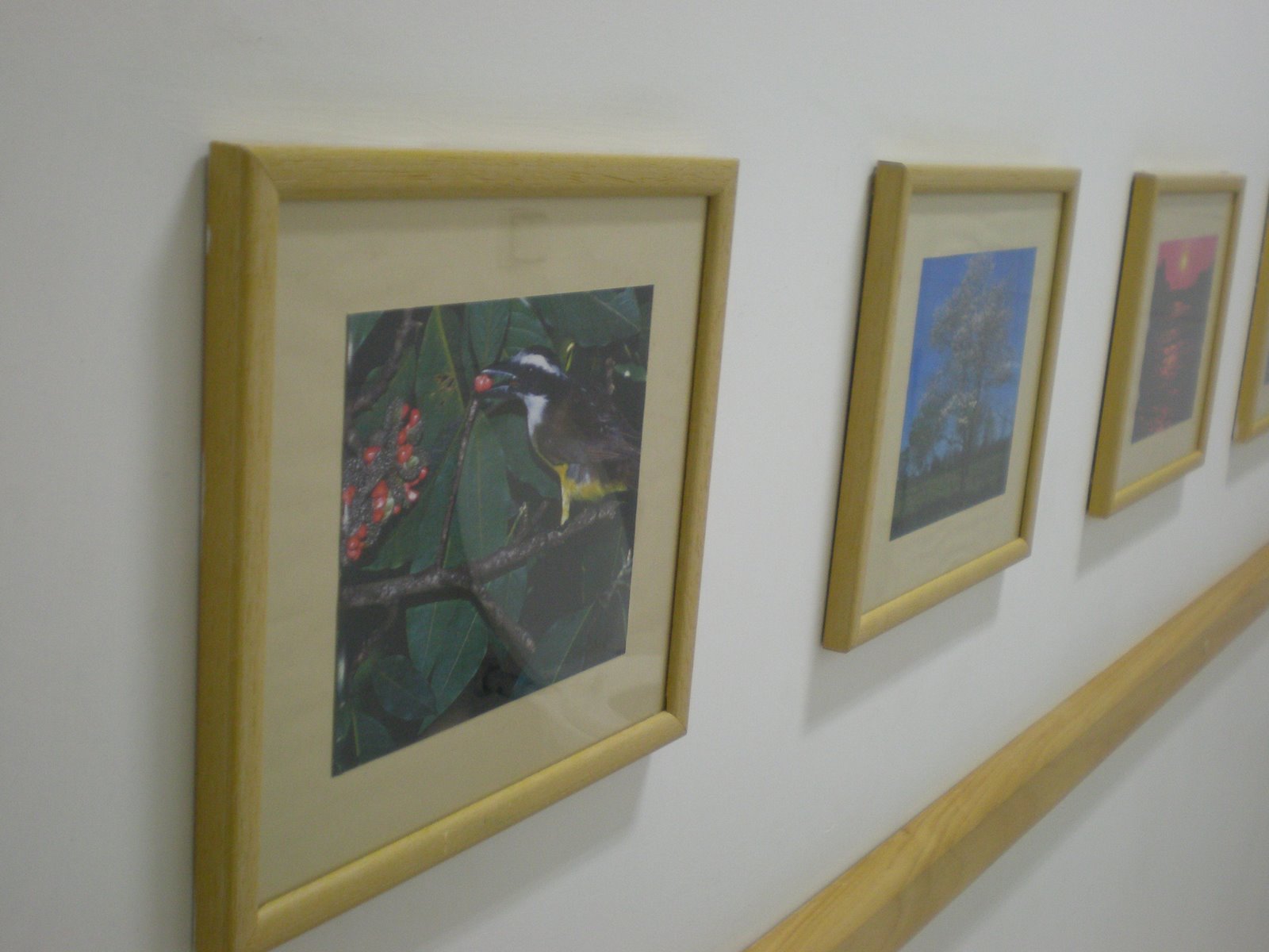 [P4132058.JPG]