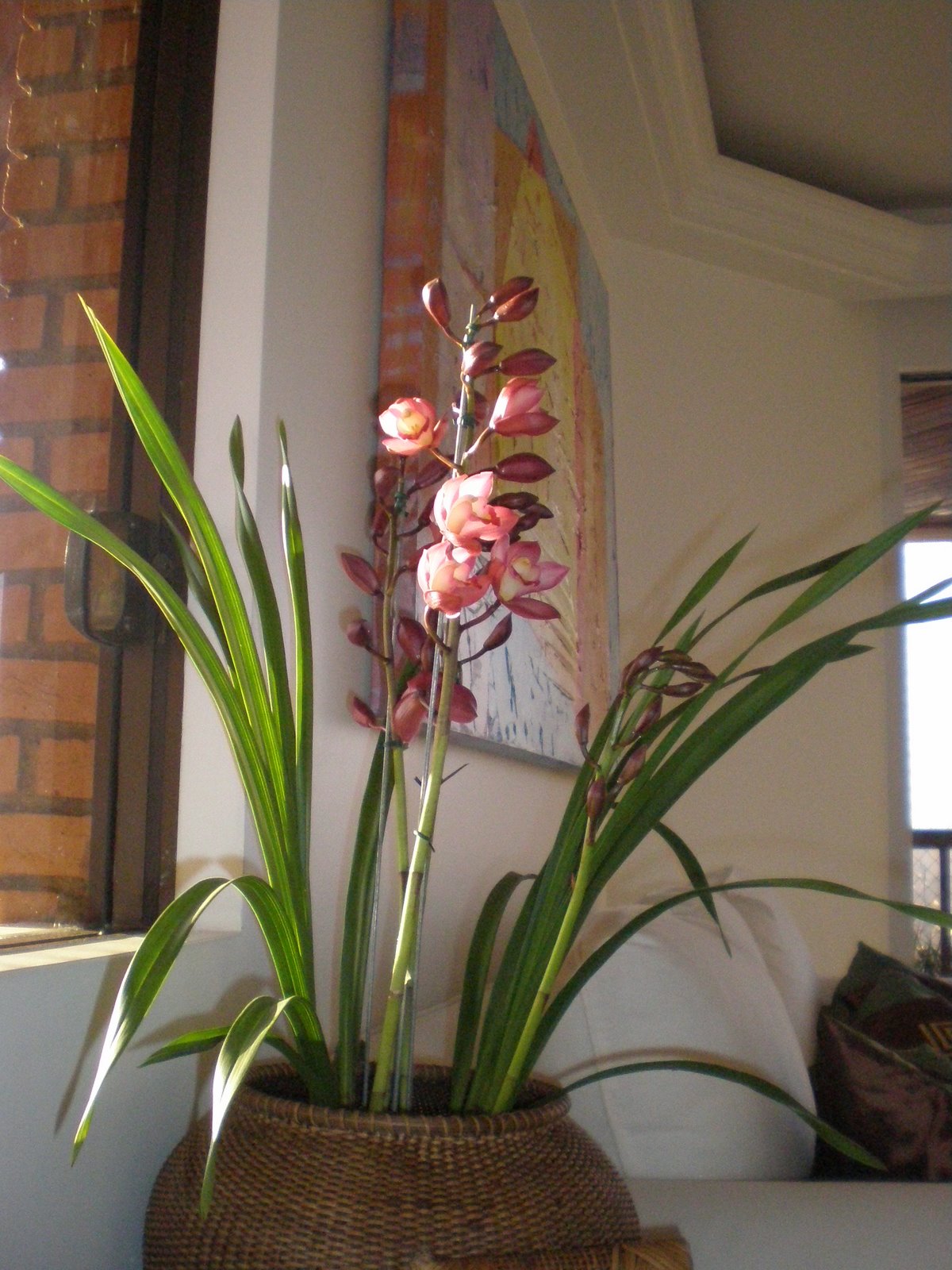 [P5132565.JPG]