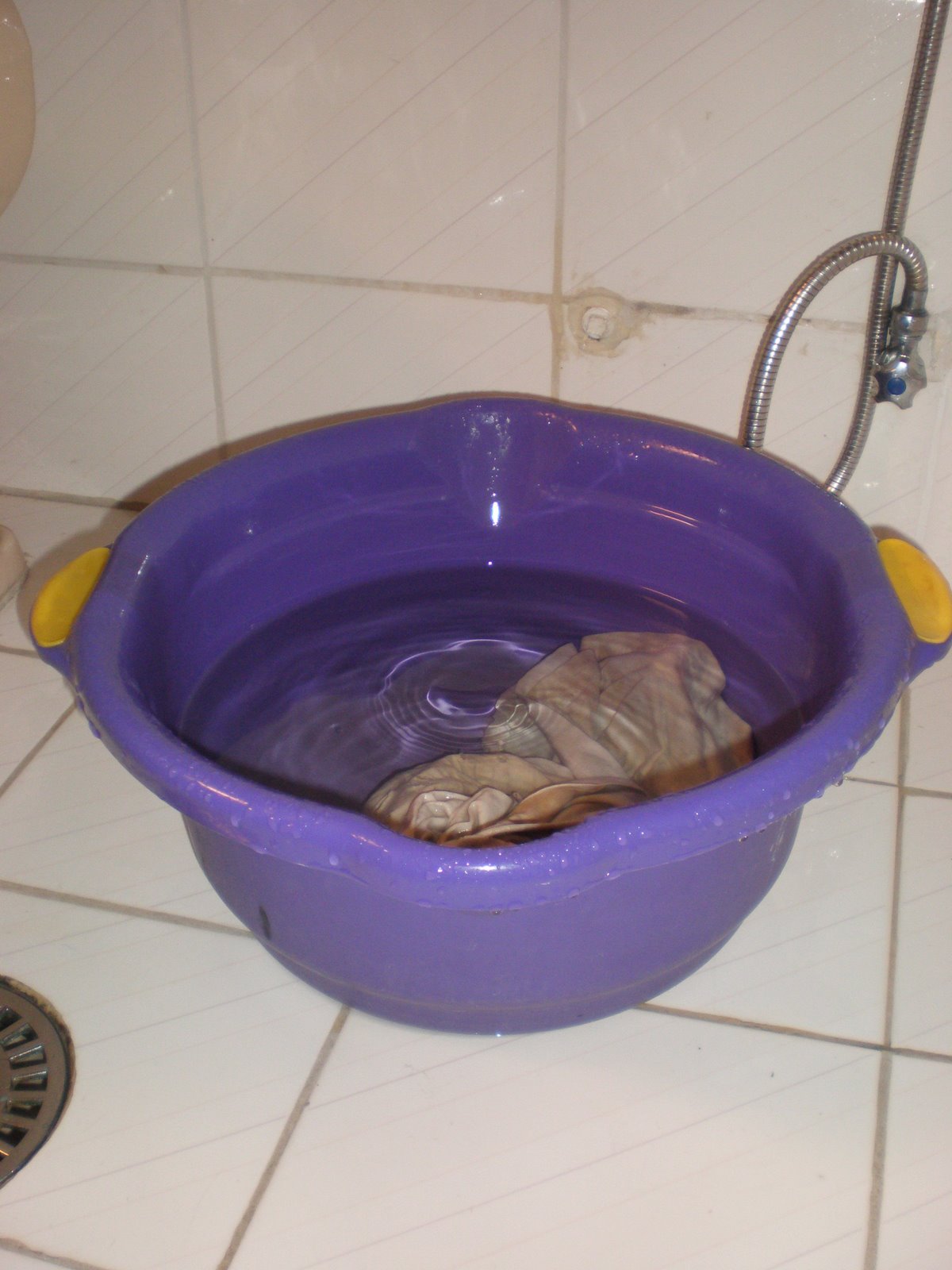 [P6010213.JPG]