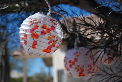 Junie Moon: February 2008