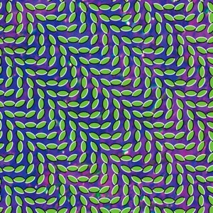 [Animal+Collective.jpg]