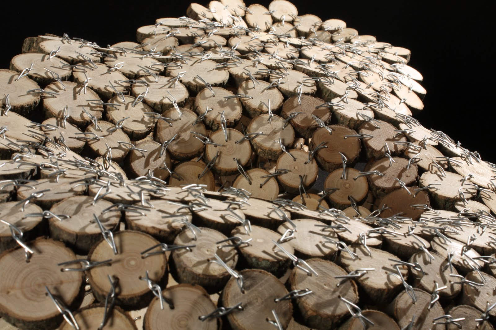 Parametric Pavilion