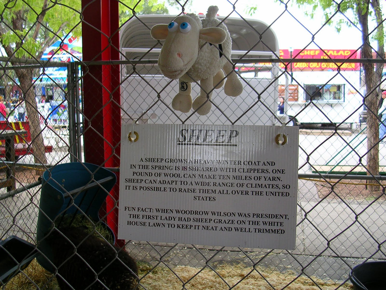 [Fall2009+025.JPG]