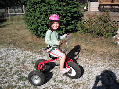 BIG Farm Trike --with frills, of course