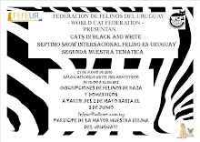 SEPTIMO SHOW INTERNACIONAL FELINO