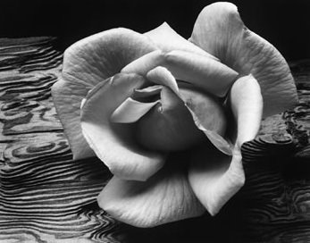 [Ansel_Adams.jpg]