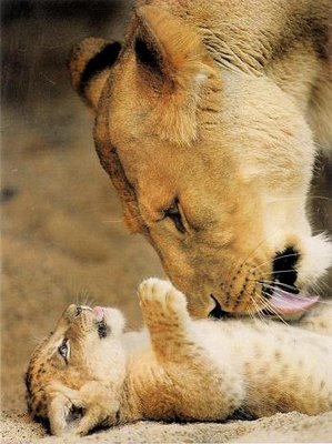 [MAMÃE+LEOA.jpg]