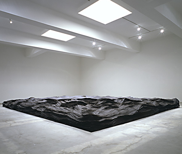 [TD-TransplantAngle.jpg]