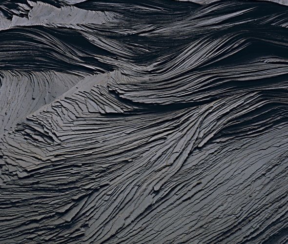 [TD-TransplantD.jpg]