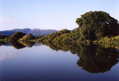bioma pantanal