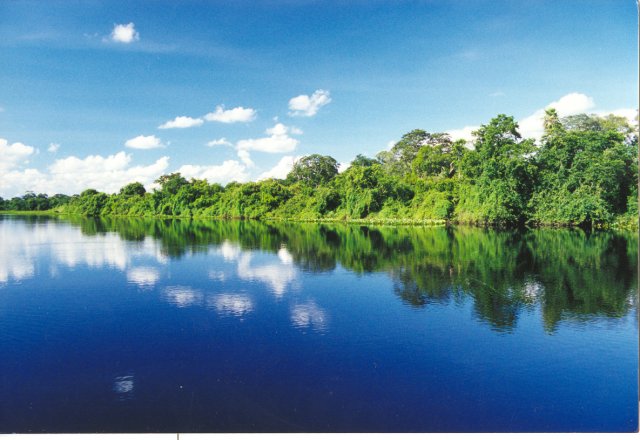 mato grosso pantanal