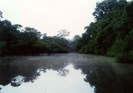 Floresta Estadual de Sucunduri Floresta Estadual de Sucunduri