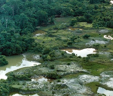 FLORESTA ESTADUAL DO FARO FLORESTA ESTADUAL DO FARO